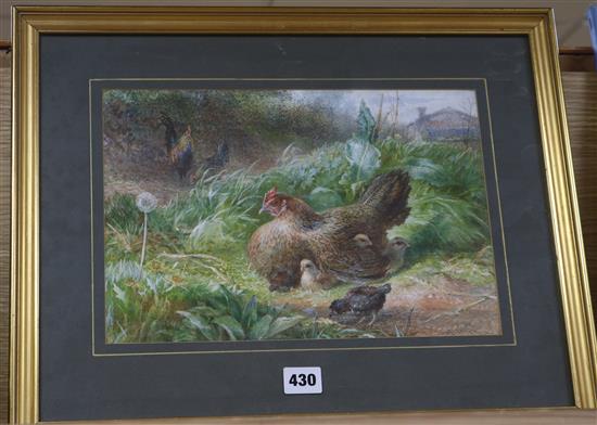 George Hickin (fl.1858-1877) Chickens in a field 23 x 33cm